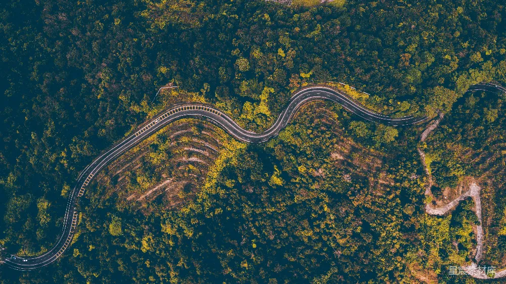 高清摄影  航拍道路周围环绕着绿树的场景