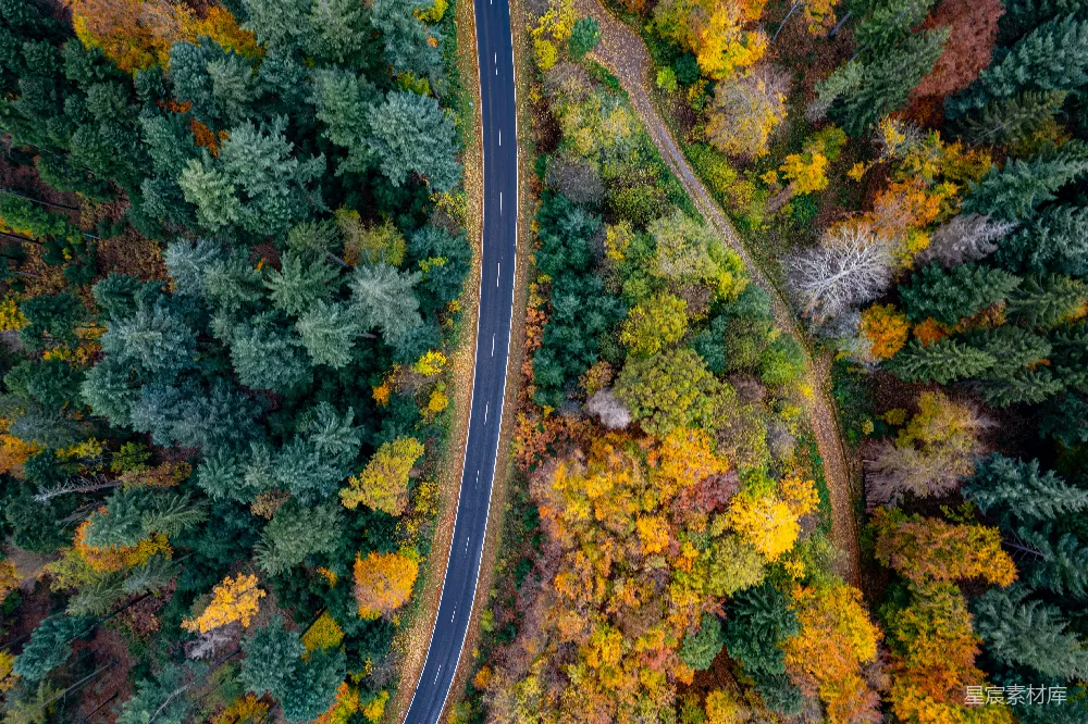 高清摄影 自然 壁纸 一条被树木环绕的道路的俯瞰图