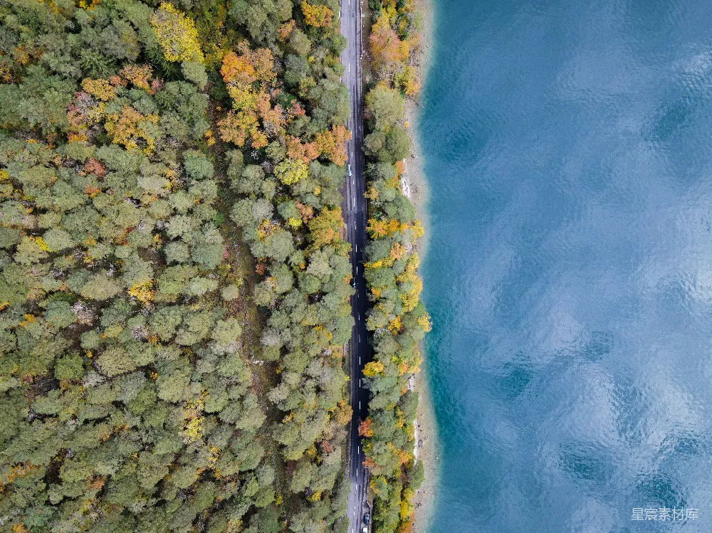 高清摄影  空中俯瞰一条穿过森林的道路，旁边有一片水域。