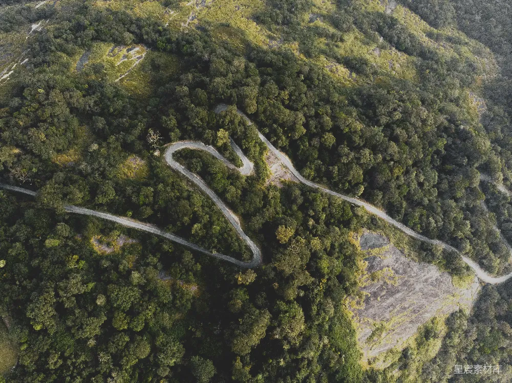 高清摄影  山间树木之间的道路航拍照片