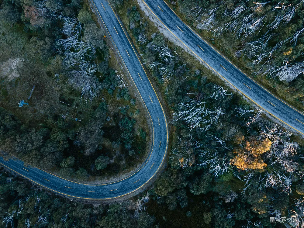 高清摄影  树木中间的公路俯瞰图
