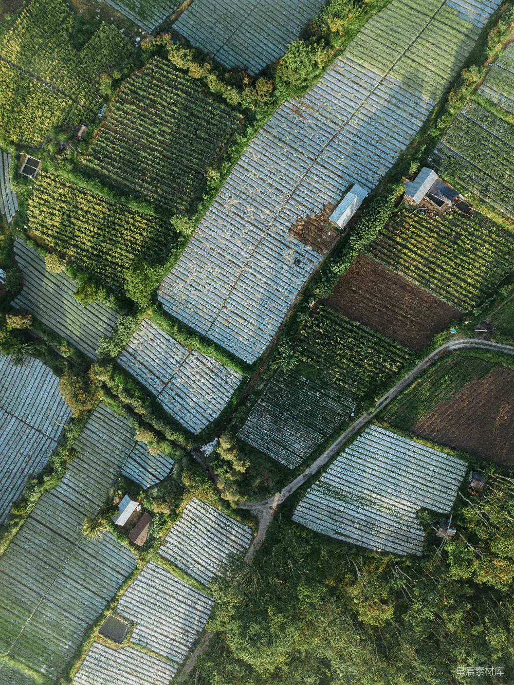 高清摄影  一幅农场的鸟瞰图，有许多整齐排列的作物行。