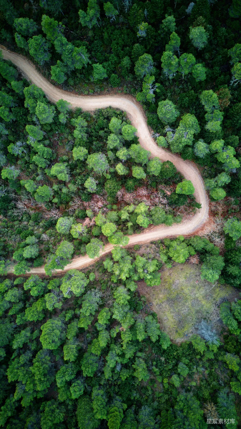 高清摄影  森林中间一条道路的空中俯瞰图