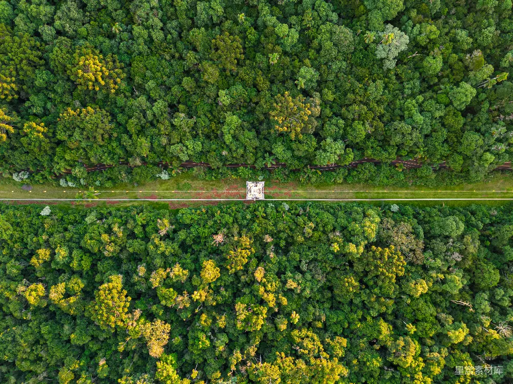 高清摄影  森林中间的公路俯瞰图