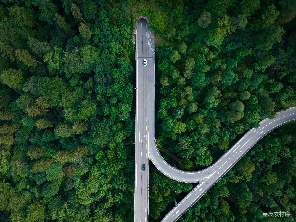 高清摄影  一条两旁有树木的道路