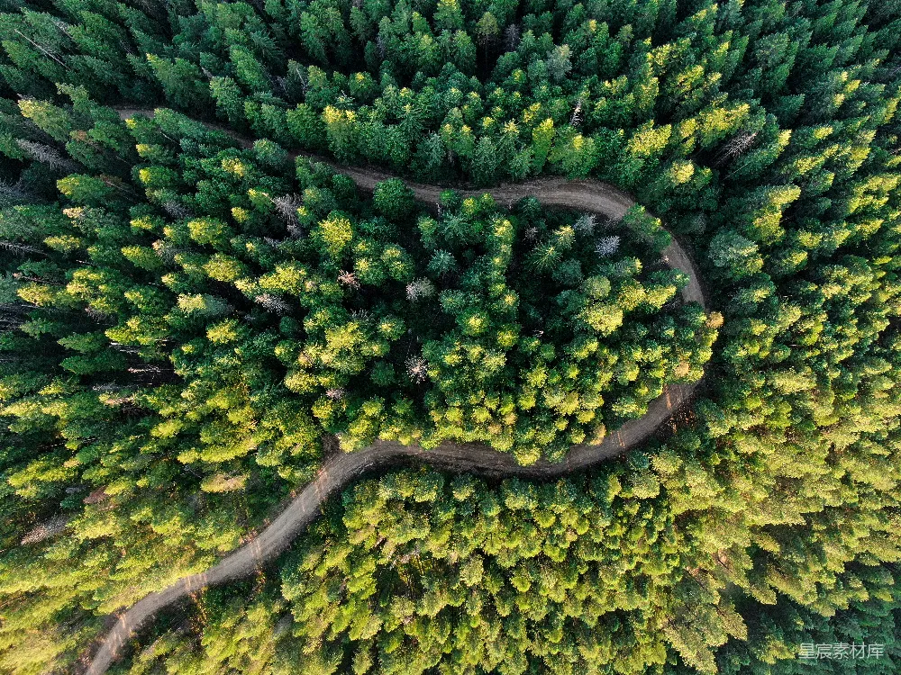 高清摄影  空中俯瞰绿树的景象