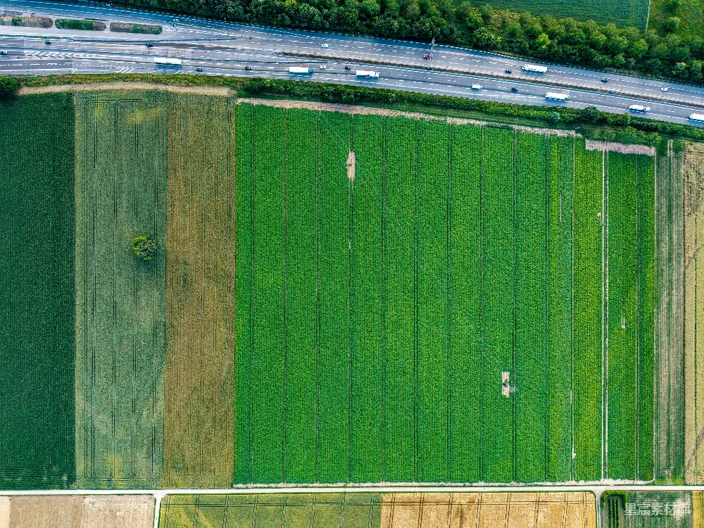 高清摄影  空中俯瞰绿意盎然的农田和道路。