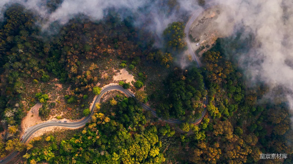 高清摄影 自然 一条蜿蜒的道路从空中俯瞰，两旁环绕着树木。
