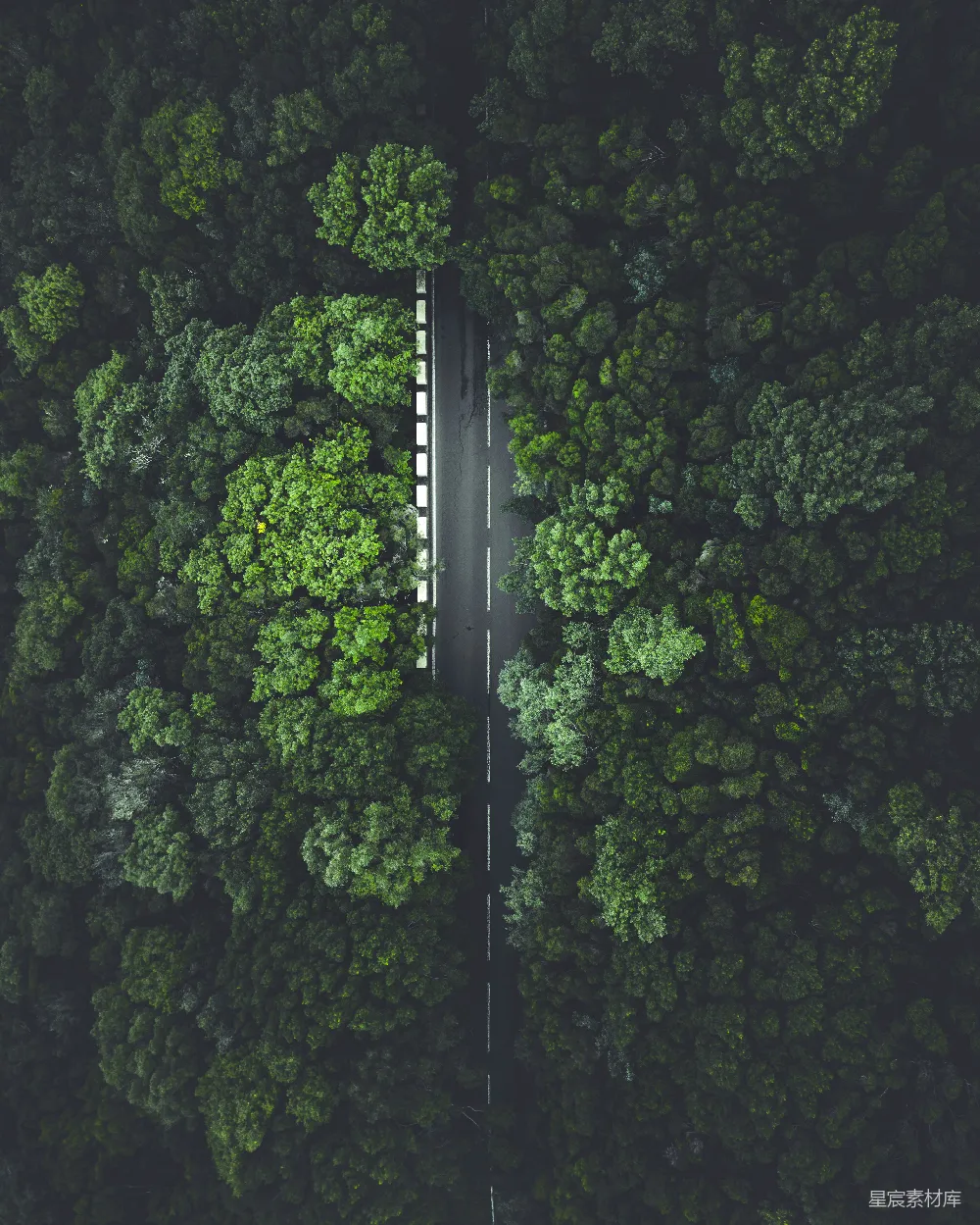 高清摄影 自然 森林中央的公路俯瞰图