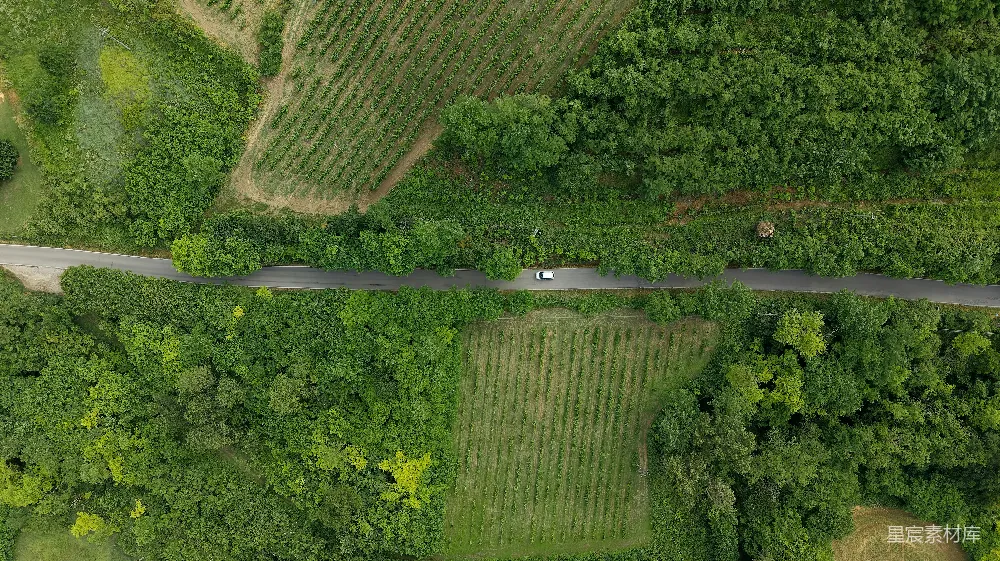 高清摄影  在蜿蜒的道路上，汽车被绿色的田野环绕着。