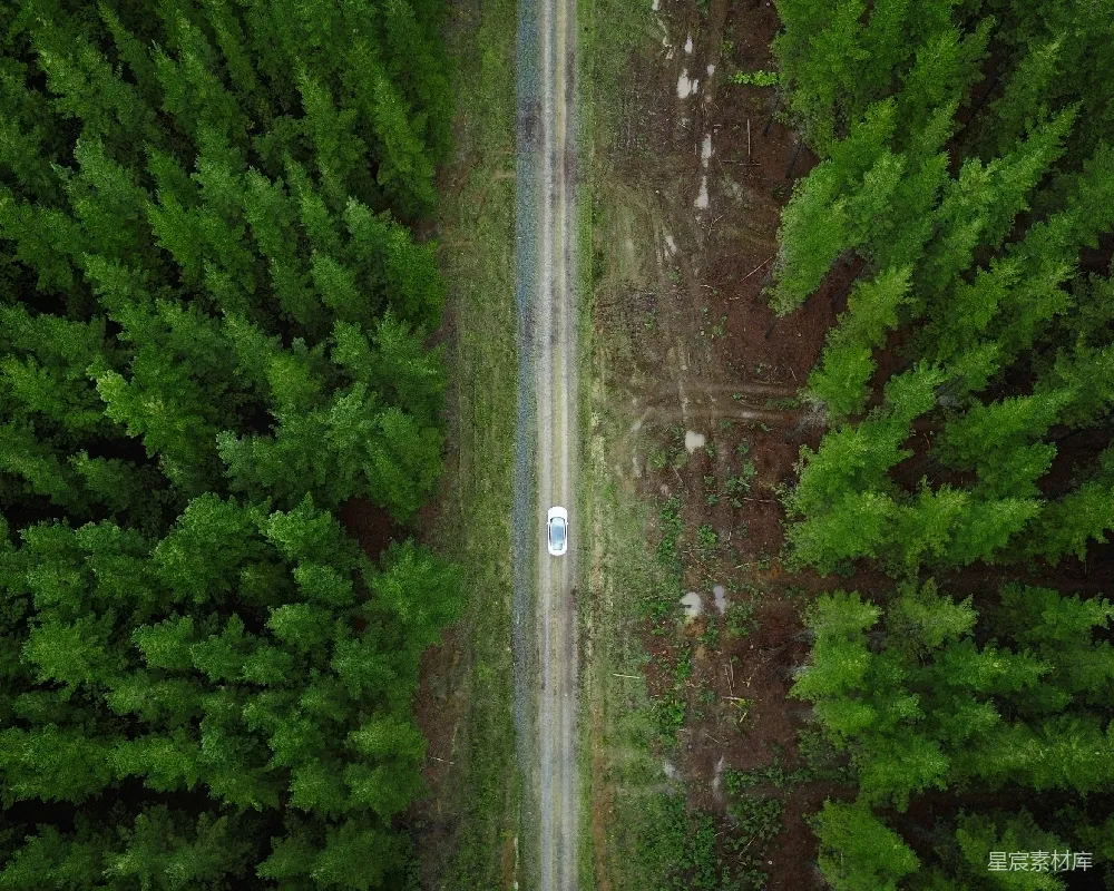 高清摄影  森林中一条土路的鸟瞰图