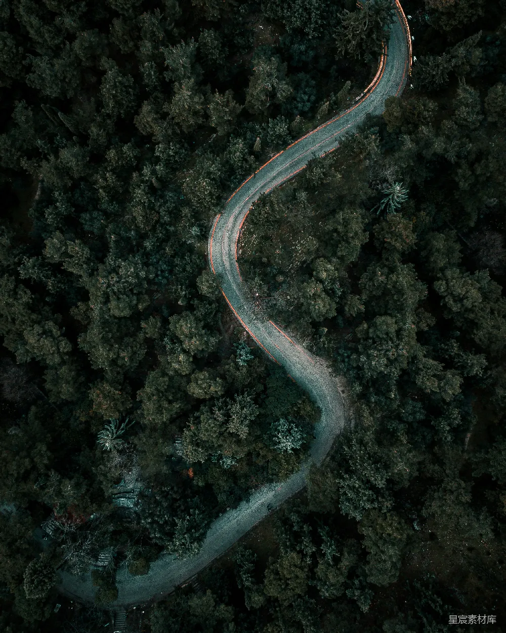 高清摄影 壁纸 在树木中间的公路俯瞰图