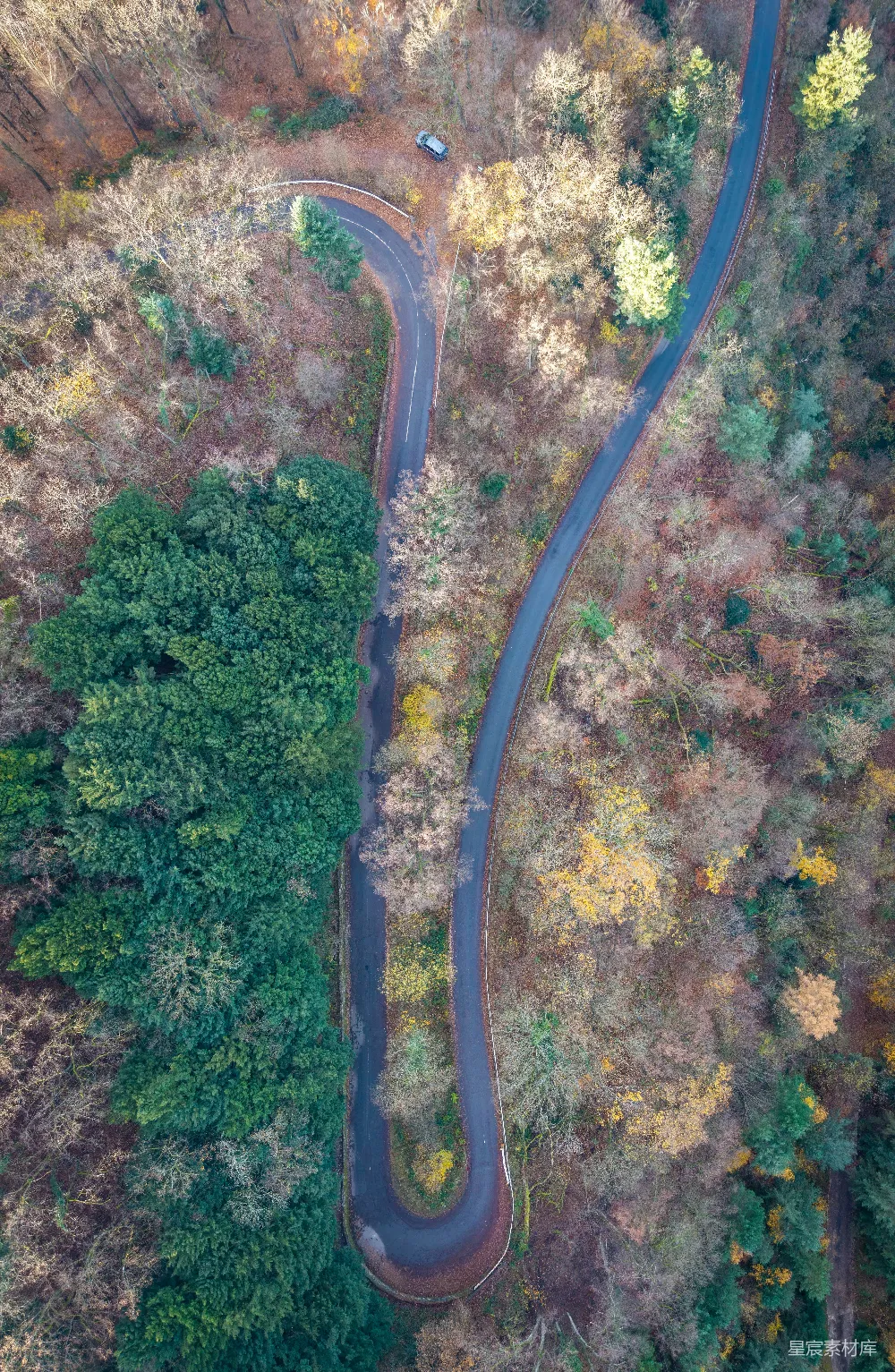 高清摄影  秋季森林中蜿蜒道路的航拍视角