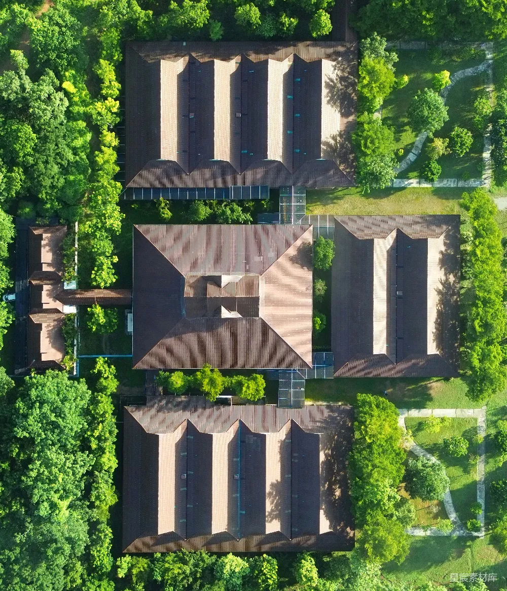 高清摄影  从上向下看，一栋建筑物及其周围的树木。