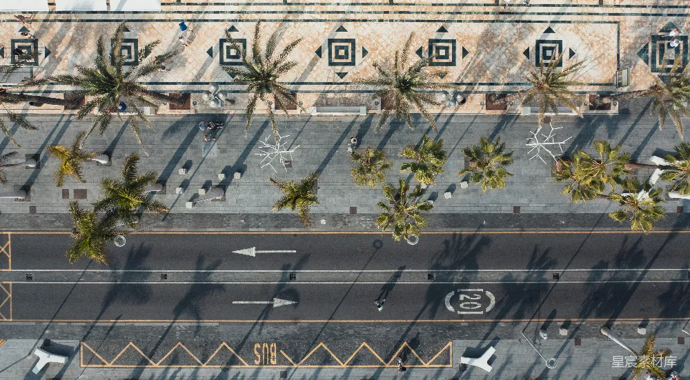 高清摄影  空中俯瞰街道，两旁是棕榈树。