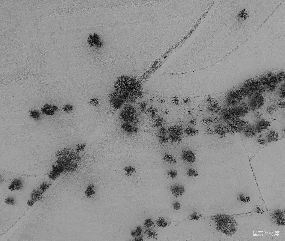 高清摄影  雪地鸟瞰图，散落着几棵树。