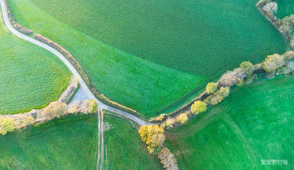 高清摄影 自然 壁纸 空中俯瞰一条蜿蜒穿过绿色田野的道路。
