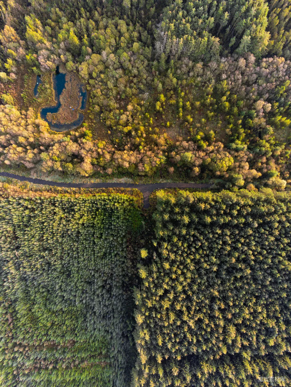 高清摄影  空中俯瞰一条被树木环绕的道路。