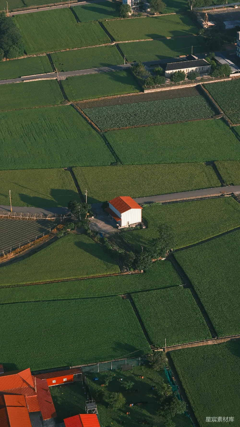 高清摄影  俯瞰翠绿的农田，可以看到建筑物和道路。