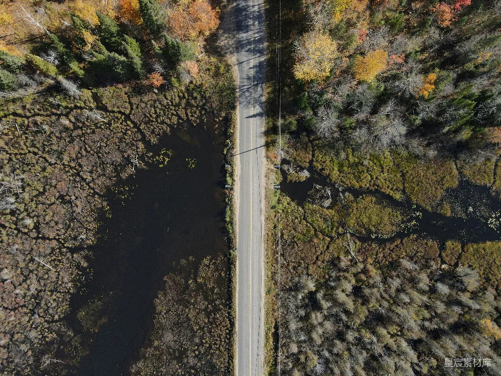 高清摄影  道路在树木之间俯瞰视角