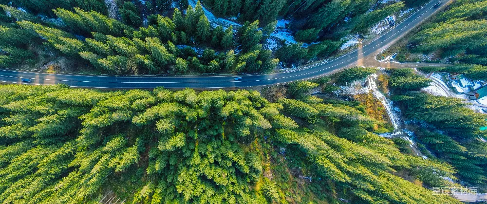 高清摄影  空中俯瞰一条被树木环绕的道路。