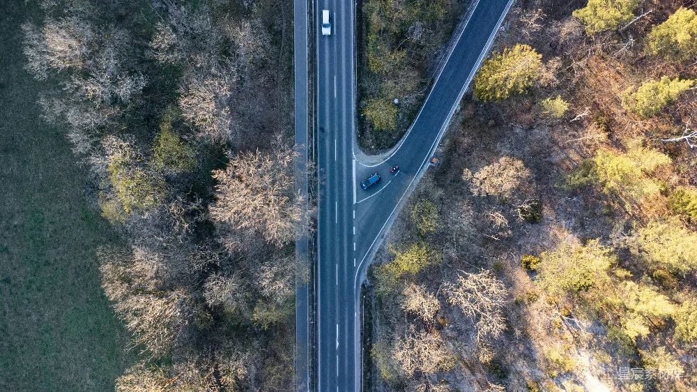 高清摄影 壁纸 一条有树木和草地的道路