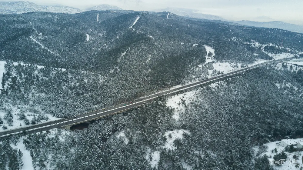 高清摄影  白天树木间的道路俯瞰图