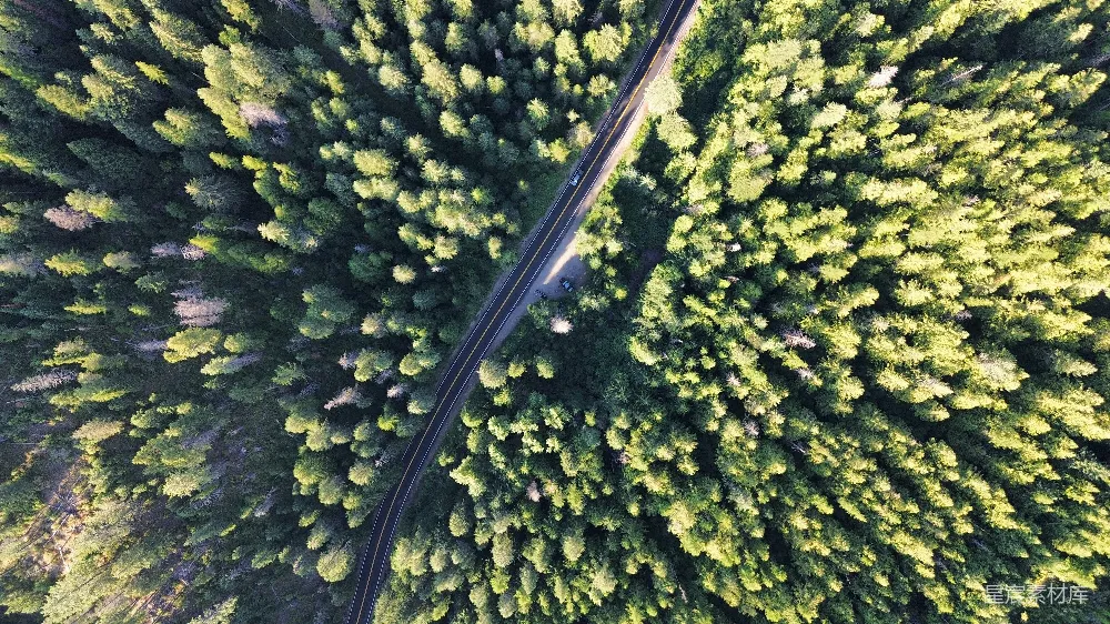 高清摄影  一条铁路轨道穿过茂密的森林的俯瞰图