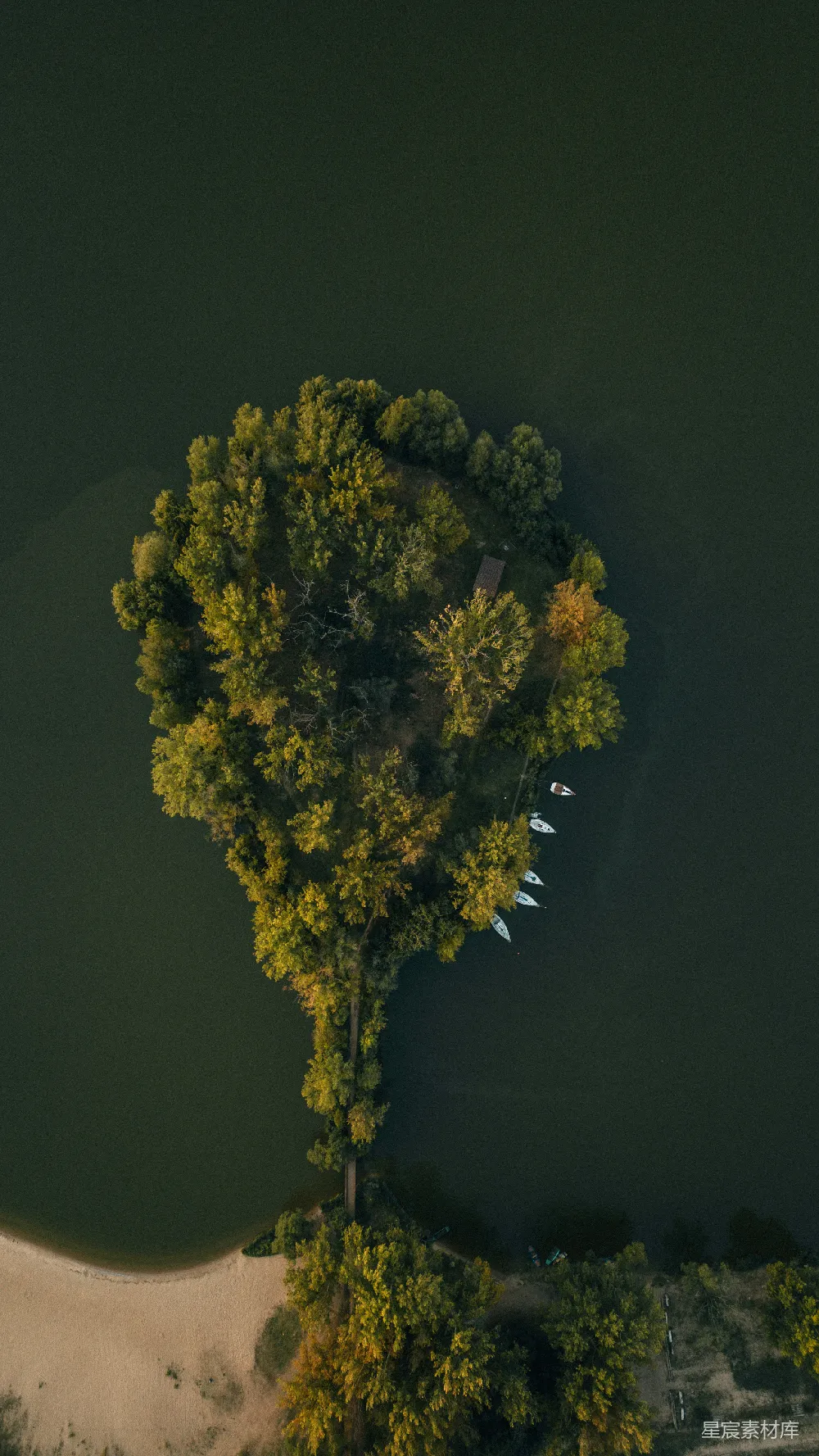 高清摄影 自然 一座被树木覆盖的岛屿的俯瞰图，停泊着几艘船。