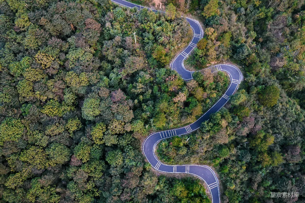 高清摄影  蜿蜒的道路穿过一片郁郁葱葱的森林