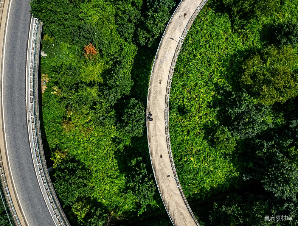 高清摄影 壁纸 从空中俯瞰，一条道路被树木环绕。