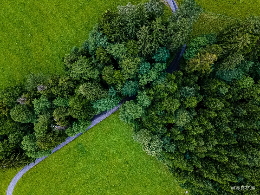 高清摄影  白天的绿草地