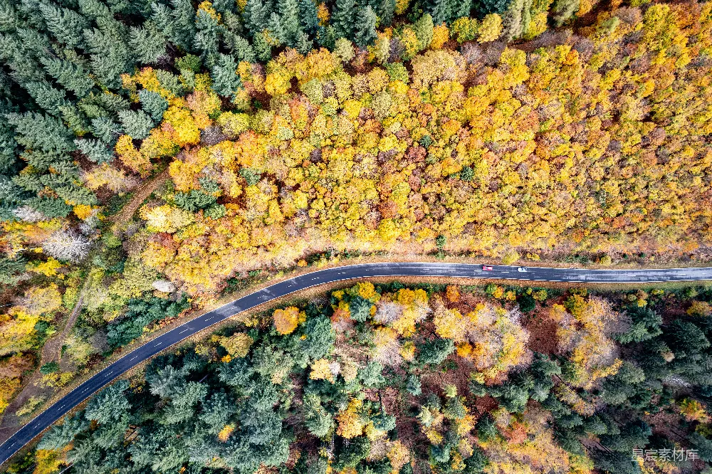 高清摄影 壁纸 一幅道路周围环绕着树木的空中俯瞰图