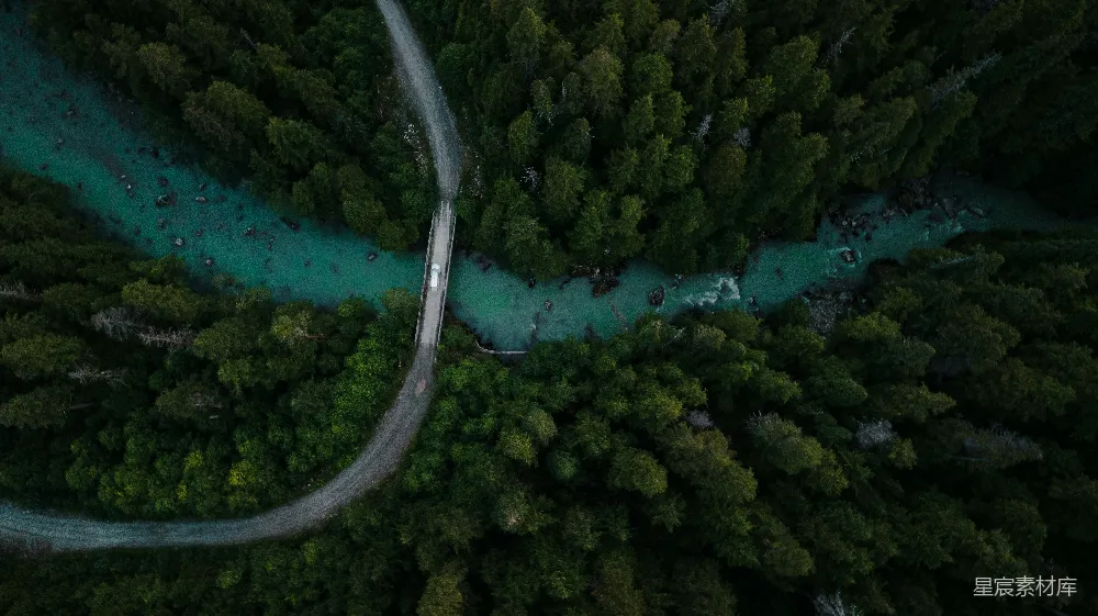 高清摄影 旅行 壁纸 自然 空中俯瞰绿树和河流的景色