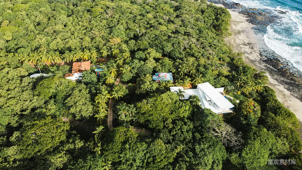 高清摄影  白天的空中俯瞰，可以看到绿色的树木和房屋。
