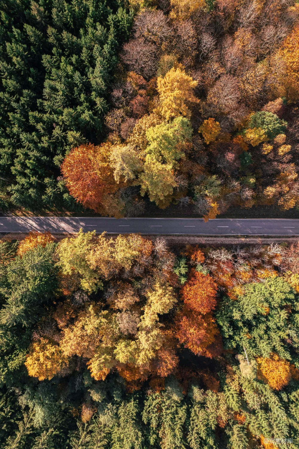 高清摄影  秋天森林中一条道路的空中俯瞰图