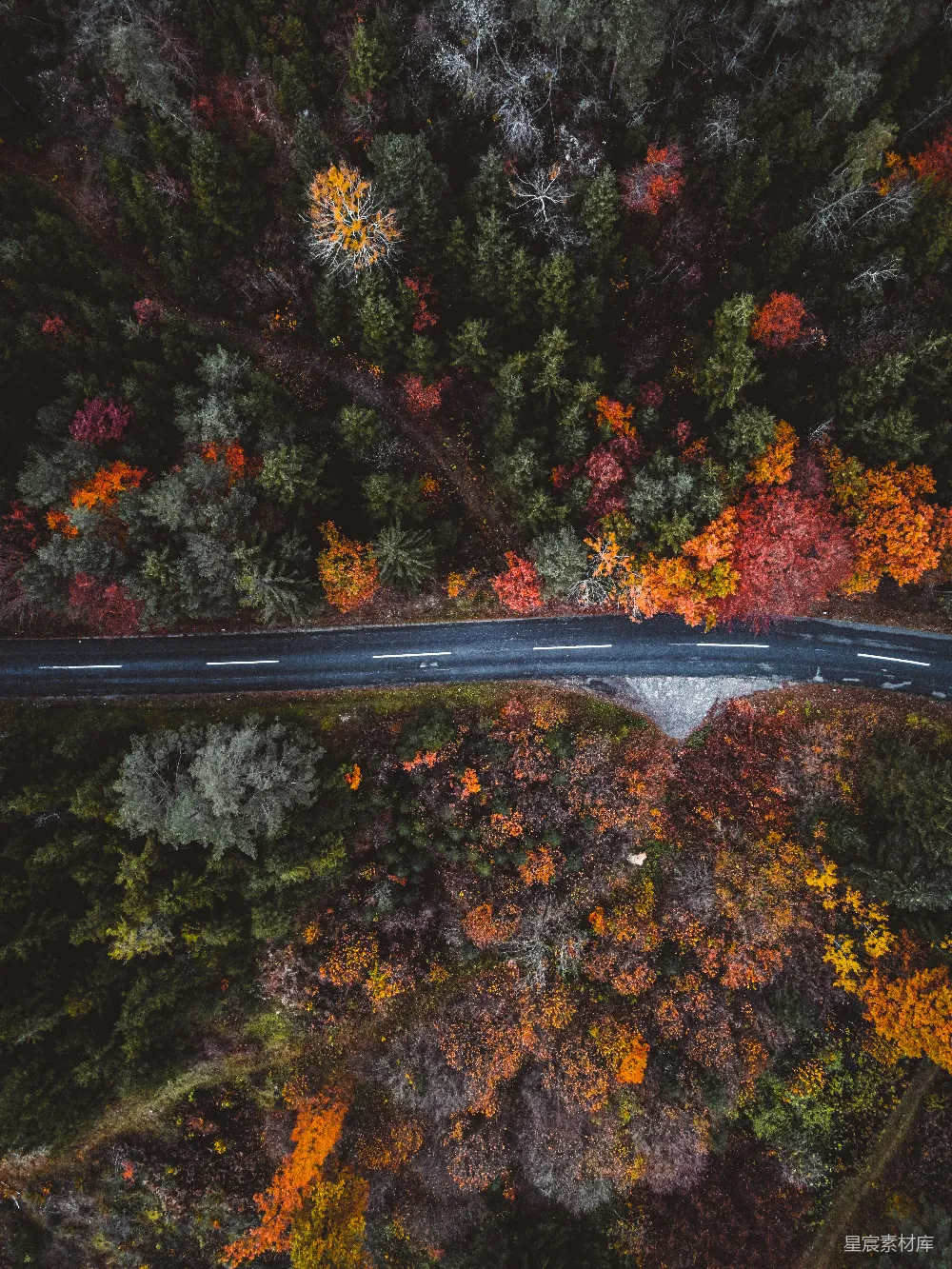 高清摄影  秋天森林中穿过的一条道路的航拍图