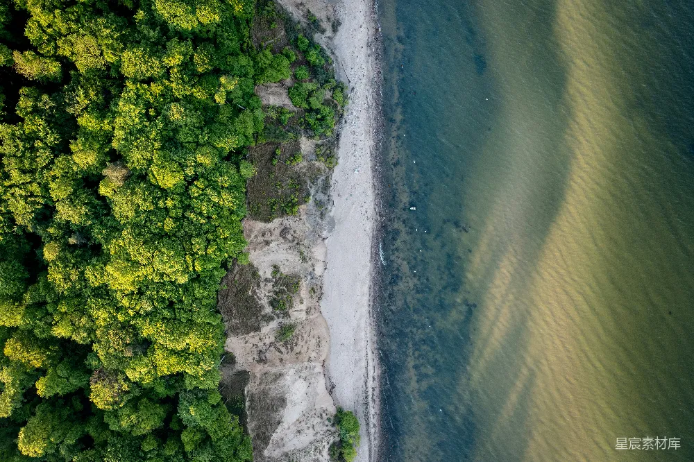 高清摄影  海滩和树木的空中俯瞰图
