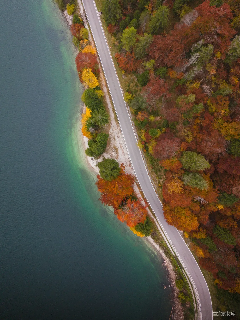 高清摄影  湖边的秋天森林和道路