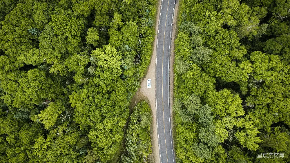 高清摄影  森林中一条道路的航拍视角