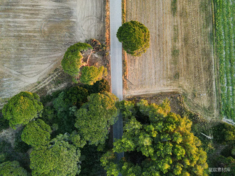 高清摄影  一条道路分隔树木和农田的鸟瞰图。