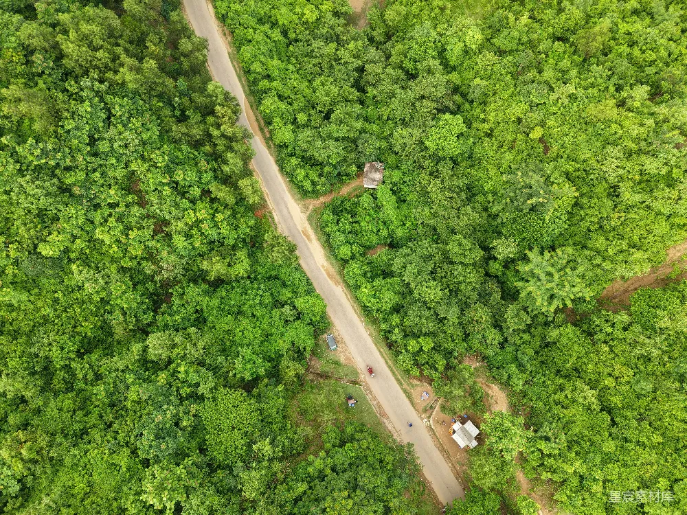 高清摄影  空中俯瞰，一条道路穿过郁郁葱葱的绿植。