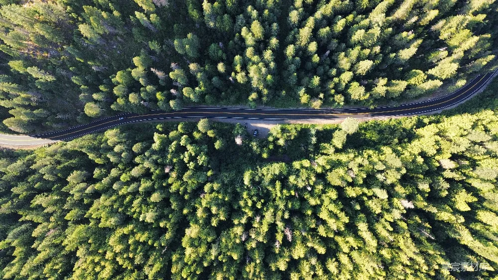 高清摄影  火车轨道的空中俯瞰图，蜿蜒穿过茂密的森林。