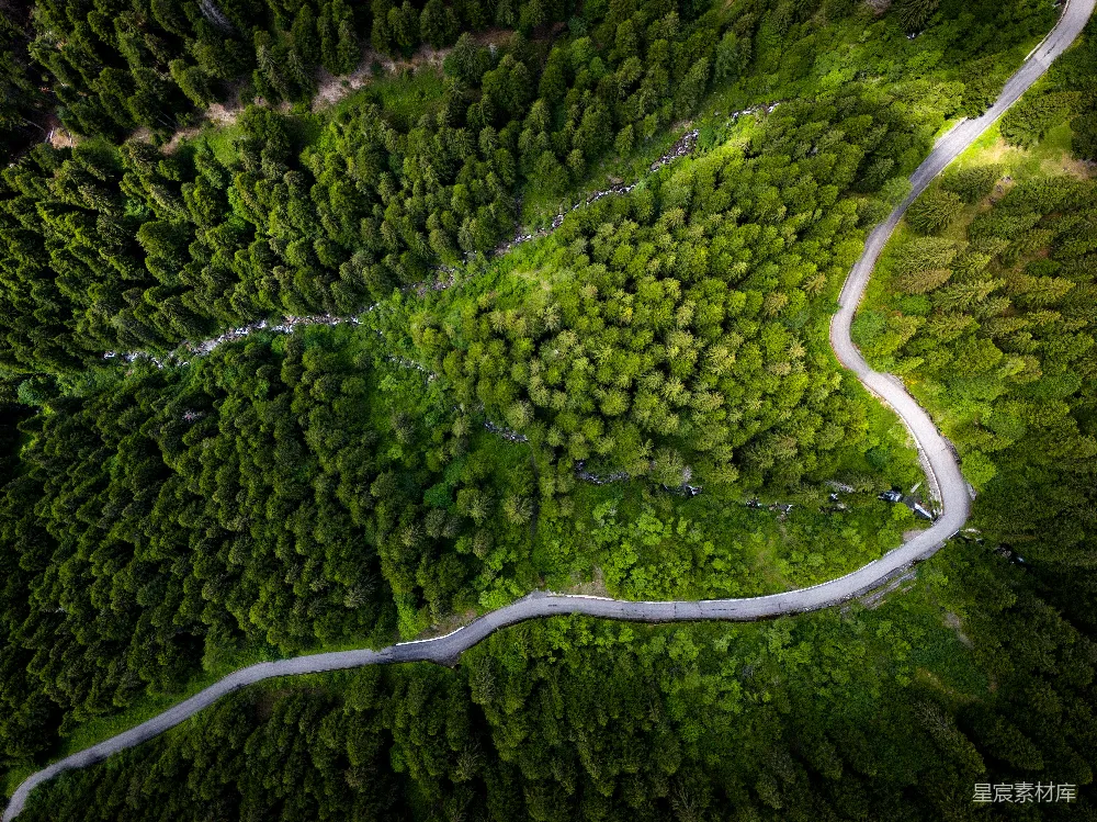 高清摄影  蜿蜒穿过茂密森林的空中俯瞰图。