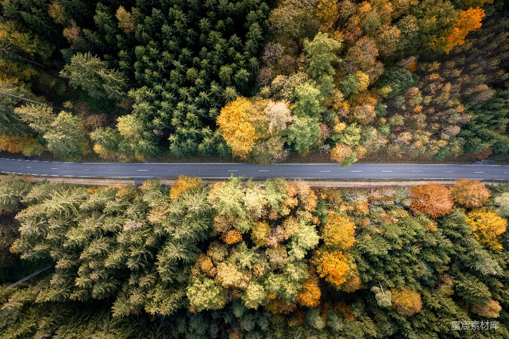 高清摄影  秋天森林小路的航拍图
