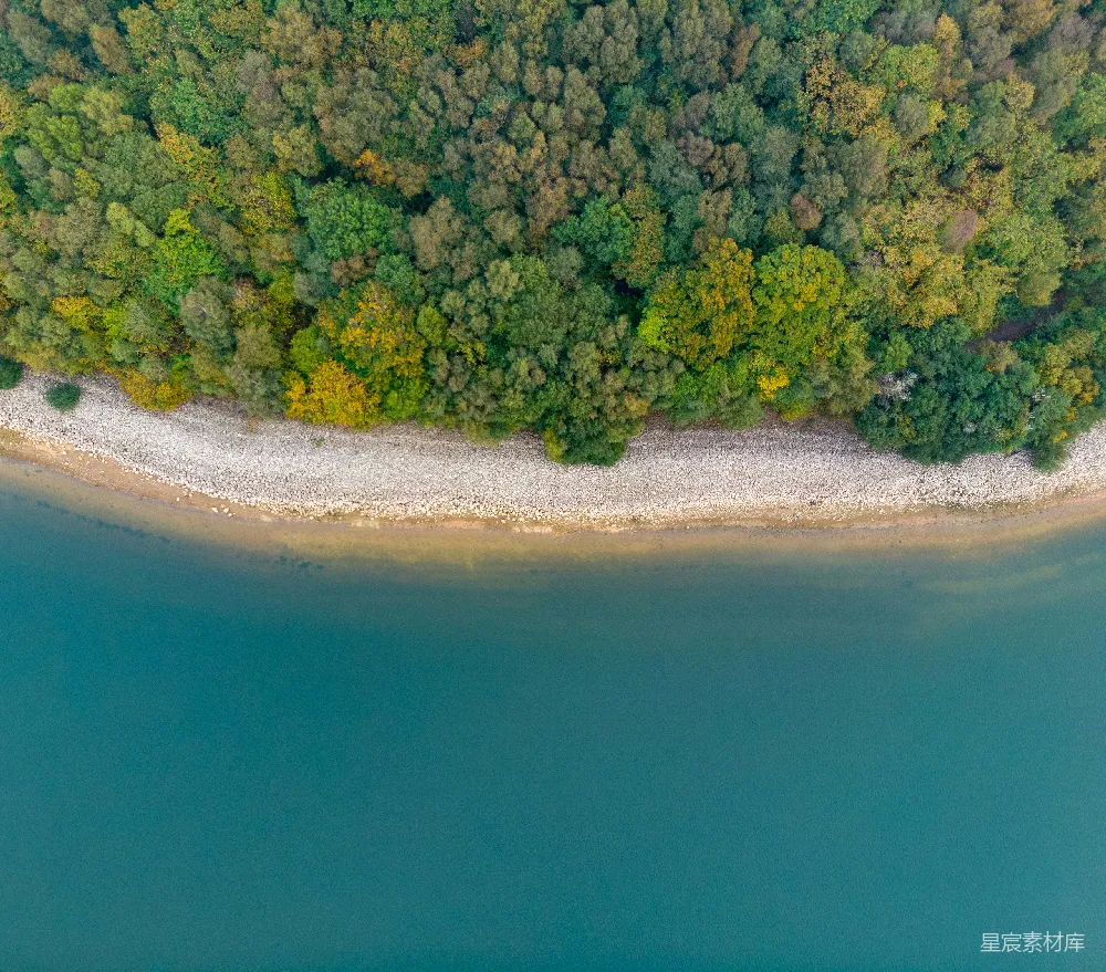高清摄影  一片被树木环绕的水域的空中俯瞰图