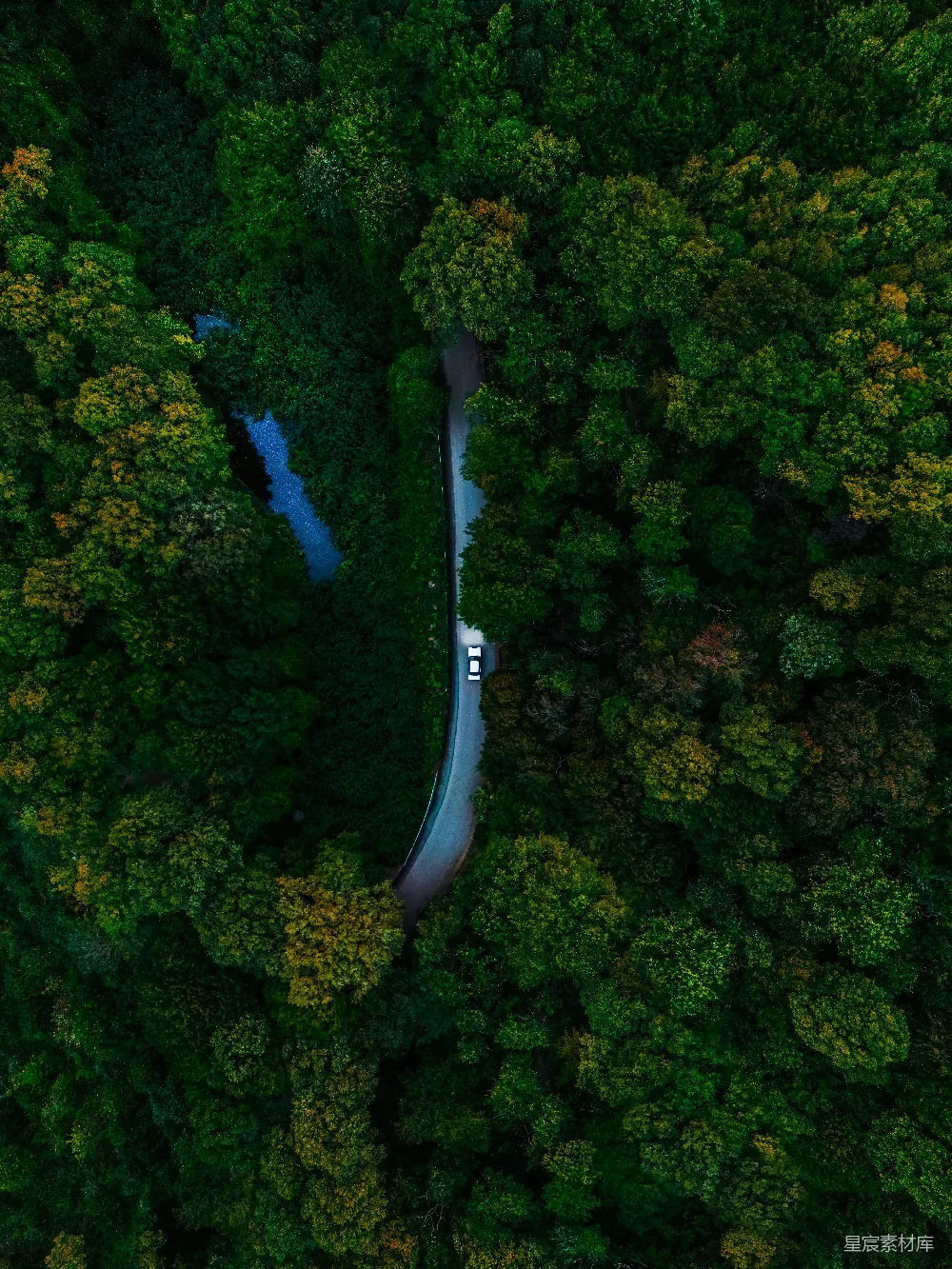 高清摄影  一条蜿蜒的道路穿过郁郁葱葱的绿林。