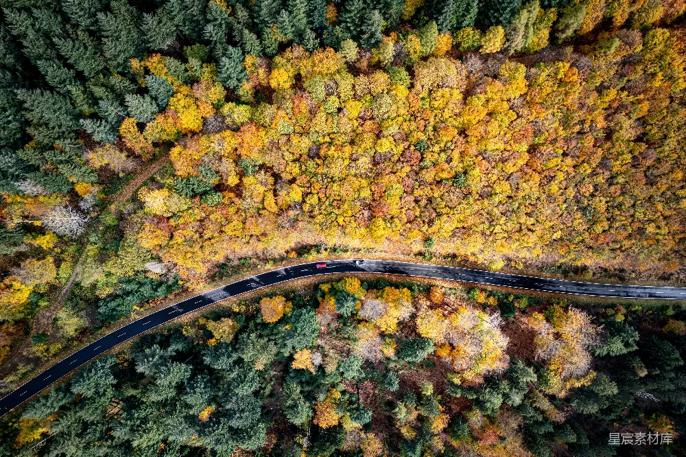 高清摄影 壁纸 空中俯瞰一条道路，周围环绕着树木。