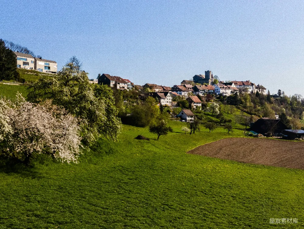 高清摄影  白天白色的混凝土建筑旁的绿色草地