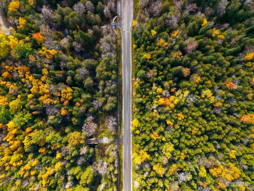 高清摄影  秋天森林中一条道路的俯瞰图